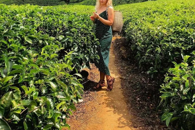 Galle Mirissa Tangalle Hiriketiya To Ella Adventure Transfer