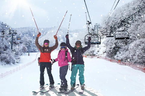 Von Cannes oder Nizza aus: Tages-Ski-Ausflug in die AlpenVon Cannes oder Nizza aus: Tagesausflug zum Skifahren in den Alpen