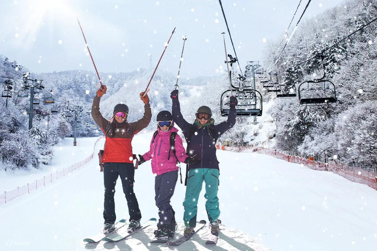 Desde Cannes o Niza: Excursión de un día a esquiar en los Alpes