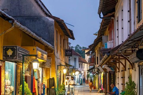 Delhi: 3-Day Kochi Cultural & Backwater Escape with Flights