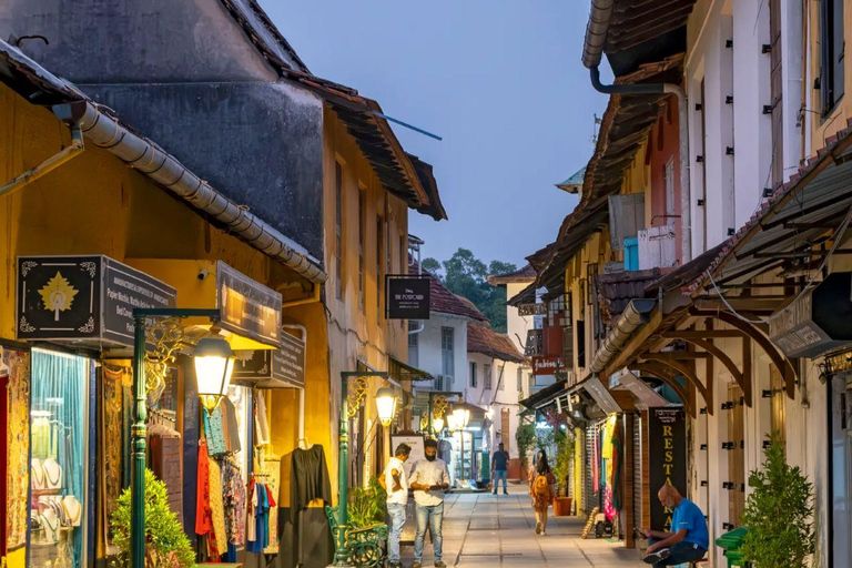 Delhi: 3-Day Kochi Cultural & Backwater Escape with Flights