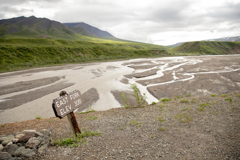 Denali in a Day – Full-Day Sightseeing Package