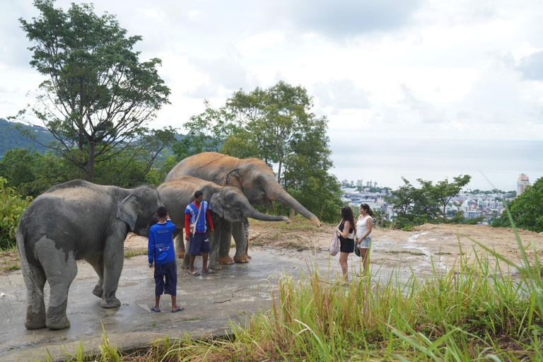 Patong: Wycieczka piesza do rezerwatu słoni z transferem z hoteluOdbiór z dowolnego miejsca w Phuket Area do Hill Tribe Elephant