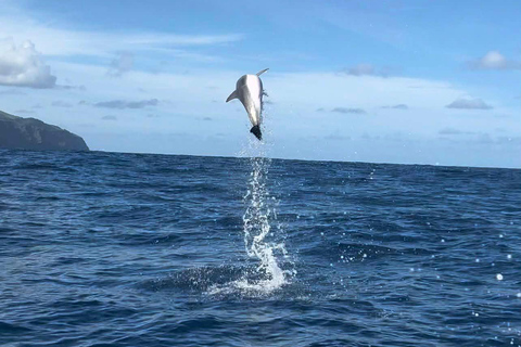 Corvo Island: Full Tour with Boat, Transfers, and Guide Corvo Island: Full Tour with Boat, Transfers, and Guide Included