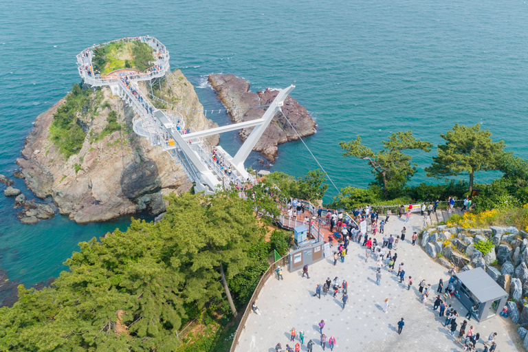 Busan Untold: War History, Hillside Villages & Songdo Cable Shared Group Tour, Depart from Busan Subway Station Exit 3
