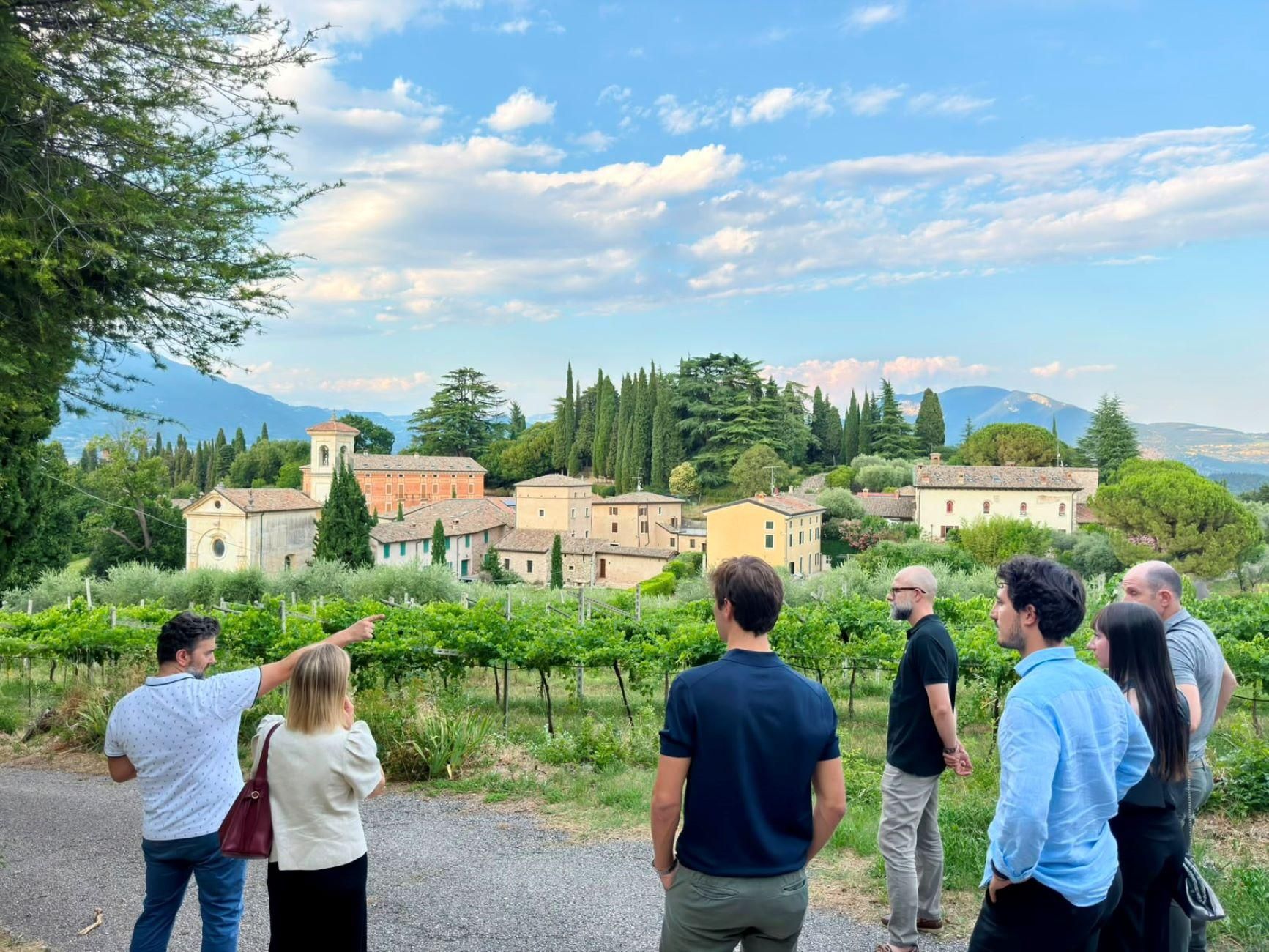 Bardolino: Weinberg-Tour und Weinprobe mit 5 Weinen in den Hügeln