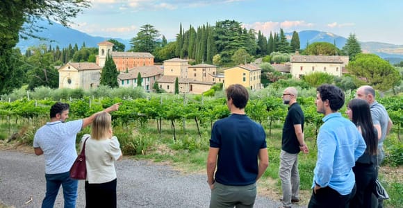 Bardolino: Vineyard tour and 5 Wine tasting on the hills