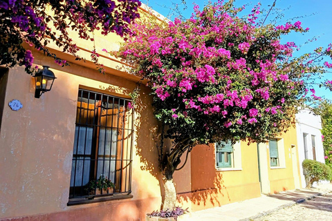 Colonia del Sacramento: City Tour by Electric Golf Cart