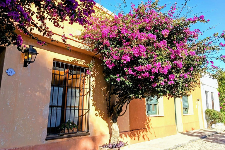 Colonia del Sacramento: City Tour by Electric Golf Cart