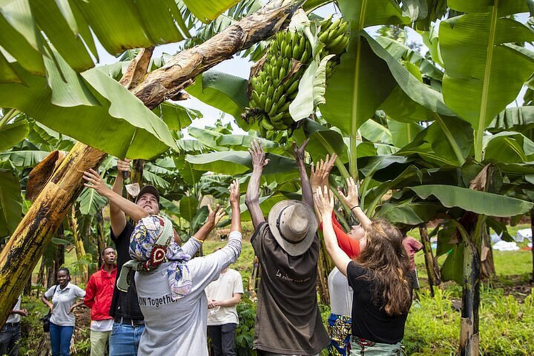 Kigali: tour della città e tour del caffè