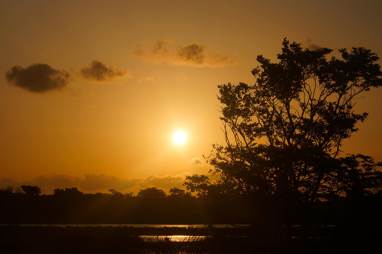 Polonnaruwa Ancient City & Minneriya Safari Full-Day Tour
