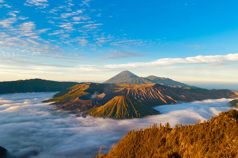 Von Yogyakarta aus: 3-Tages-Tour zum Mount Bromo und Ijen-Krater