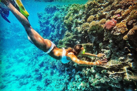 Sharm: Blue Hole Magic & Dahab Vibes w/Snorkeling & Lunch