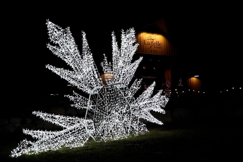 Derry, NH: LaBelle Lights Holiday Light Show Entry Ticket