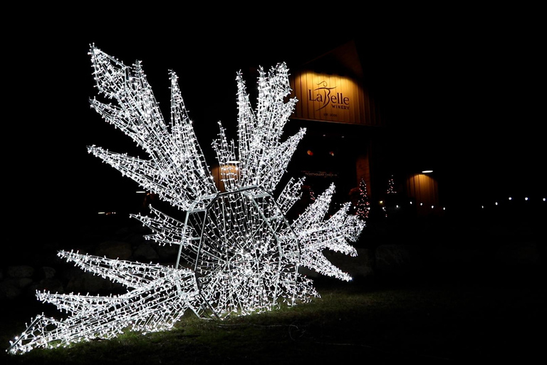 Derry, NH: LaBelle Lights Holiday Light Show Entry Ticket