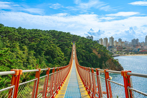 Busan: 7 Highlights Gyeongju City One Day Tour Gyeongju From Haeundae Ex.5