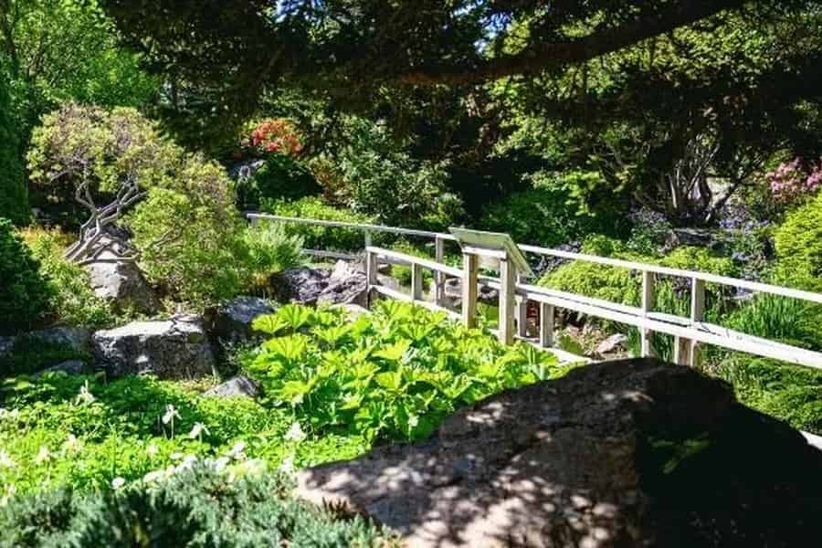 St. John's: Einlass zum Botanischen Garten der Memorial University. Foto: GetYourGuide St. John's: Einlass zum Botanischen Garten der Memorial University. Foto: GetYourGuide