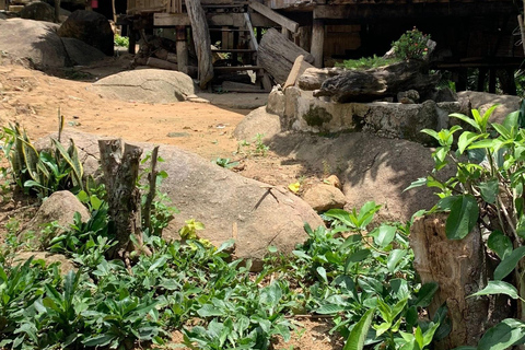 1 Day trekking : Chiang Rai popular activity,Fun in Nature.