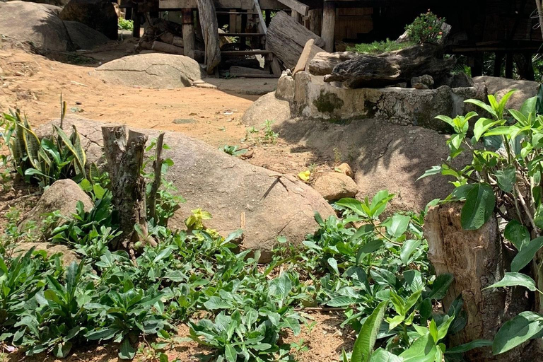 1 Day trekking : Chiang Rai popular activity,Fun in Nature.