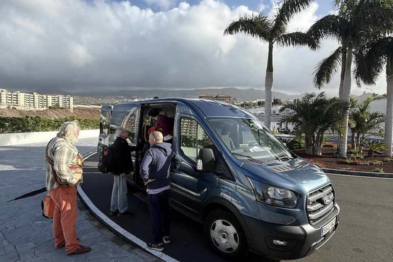 Tenerife - La Gomera: Private Expedition to the Prehistoric Forest