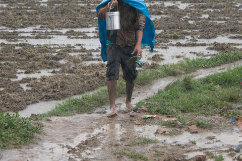 Kathmandu: Paddy Planting Festival with Lunch & Hike