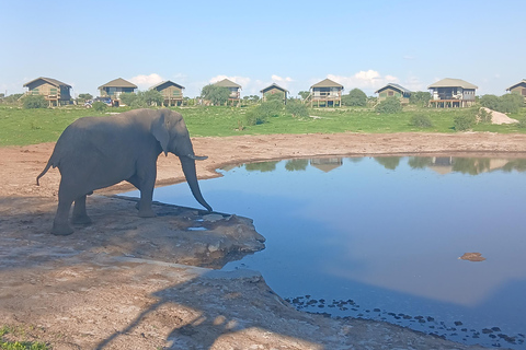 From Victoria Falls: Maun Transfer with Elephant Sands Stop