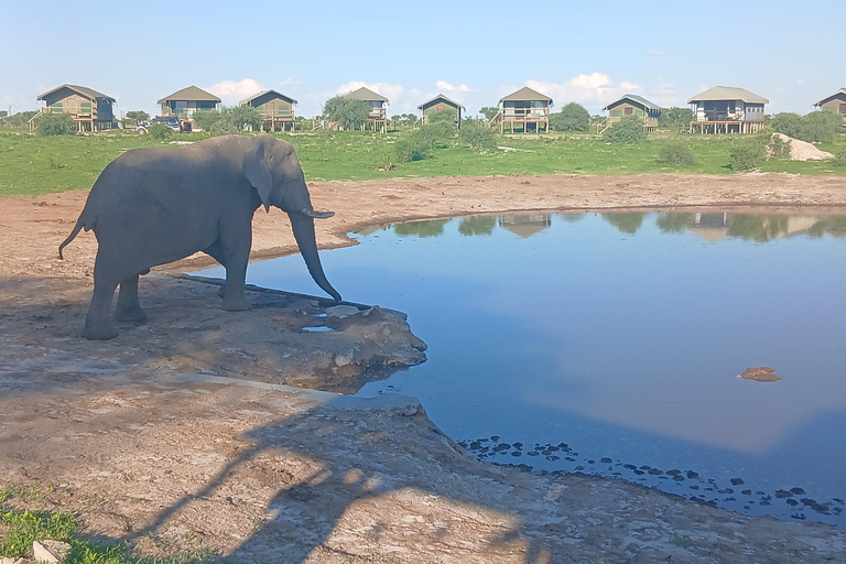From Victoria Falls: Maun Transfer with Elephant Sands Stop