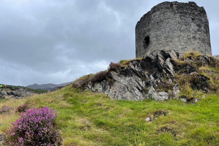 Pays de Galles : Excursion dans les montagnes de Snowdonia et au château de CaernarfonExcursion dans les montagnes de Snowdonia et au château de Caernarfon