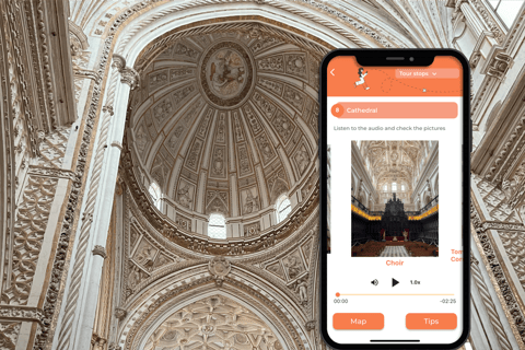 Mosque-Cathedral of Cordoba: Self-guided tour created by an Official Guide Self-guided tour only. No entrance ticket.