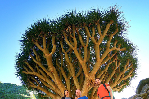 Tenerife: Anaga Wandelen