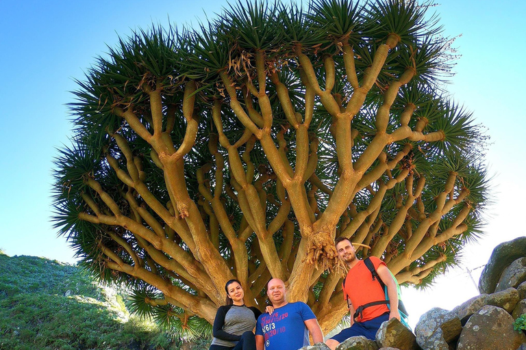 Tenerife: Anaga Wandelen