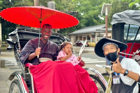 Nara: Cultural Heritage Tour by Rickshaw 70min Mt. Wakakusa and the famous deers of Nara