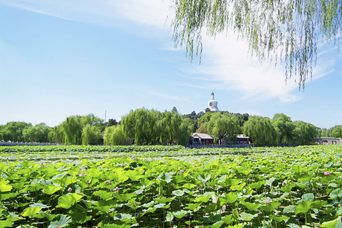 Beijing: Beihai Park Volledige toegangsbewijs Service