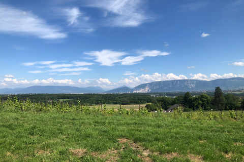 Genfer Landschaft und Weinverkostung mit dem E-Bike