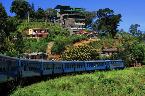 Kandy: Nanu Oya Scenic Train Journey with Ticket Assistance Kandy: Nanu Oya Scenic Train Journey in 1st/2nd class Cabin
