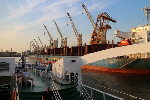 Rotterdam: Summer Evening Cruise with Live Entertainment Rotterdam: Summer Evening Cruise with live Music