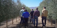 OleoAlmanzora, Guided Tour & Tasting + Pulpí Giant Geode - Housity