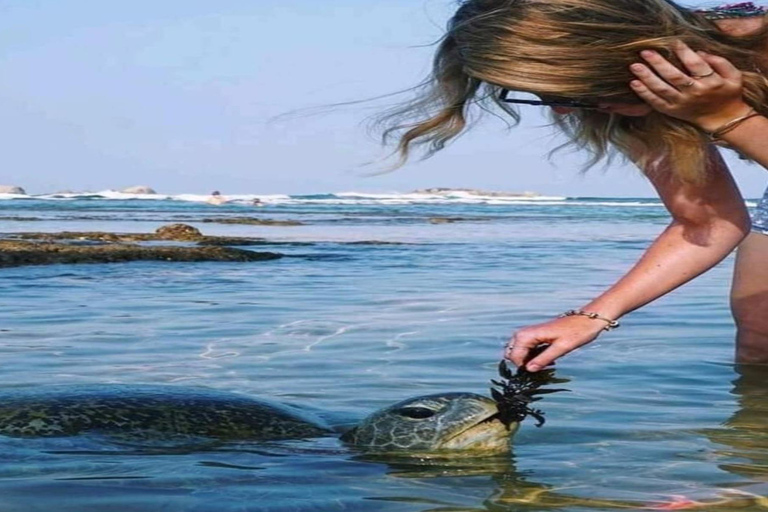 Colombo: Fuerte de Galle, Río Madu y Tortugas Tour privado de un día