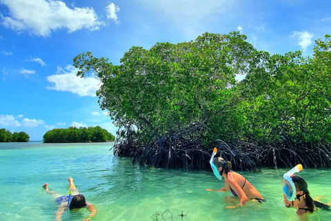 Sainte Rose: Lagoon boat excursion