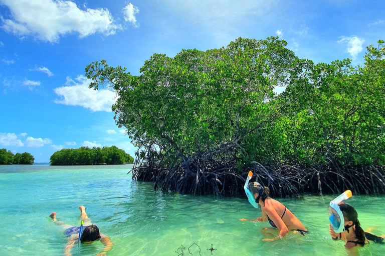Sainte Rose: Lagoon boat excursion