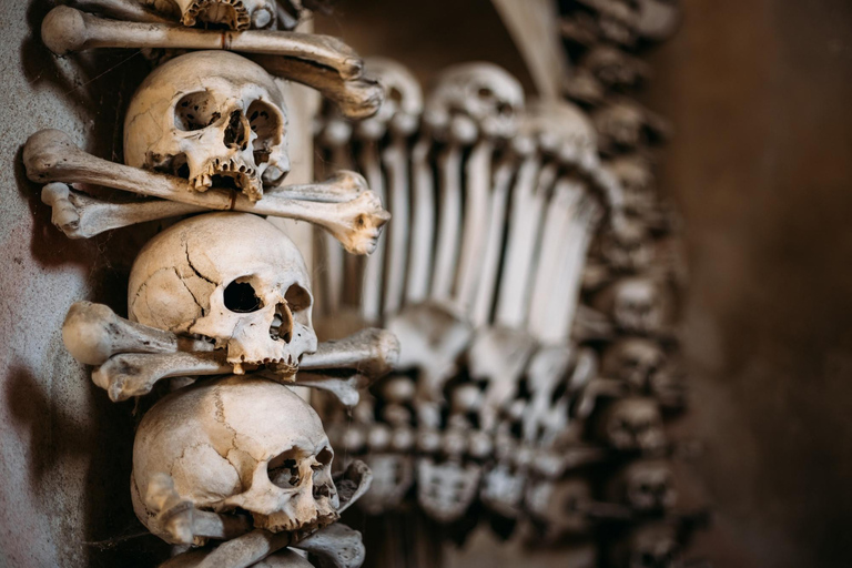 Osnabrück: “The Black Death” (Plague Tour)