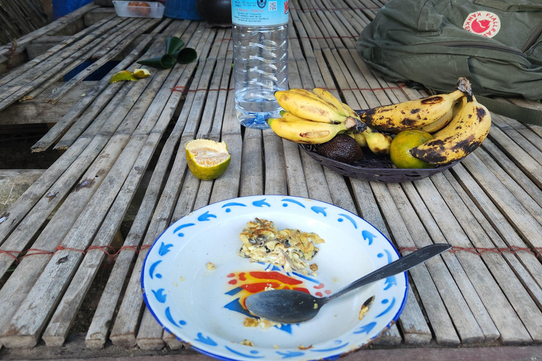 Les visites des champignons de Gili