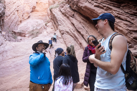 Cafayate: Tour de dia completo por bodegas y degustacion de vinos