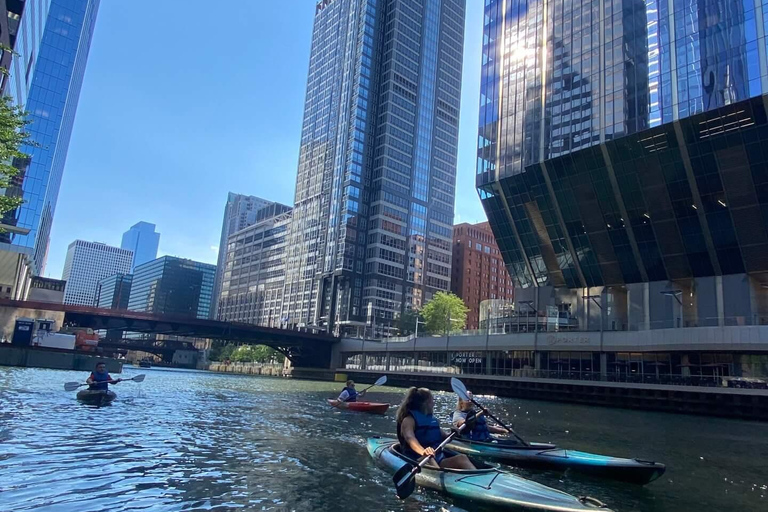 Chicago: History and Architecture Guided Kayak Tour