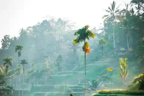Bali : Visite guidée des temples, des chutes d'eau et des rizières en terrasses