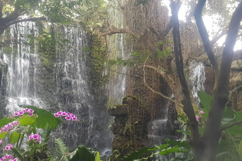 Gems of Chiangmai : Dantewada, Wat Ban den, Sticky Waterfall