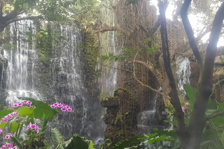 Gems of Chiangmai : Dantewada, Wat Ban den, Sticky Waterfall