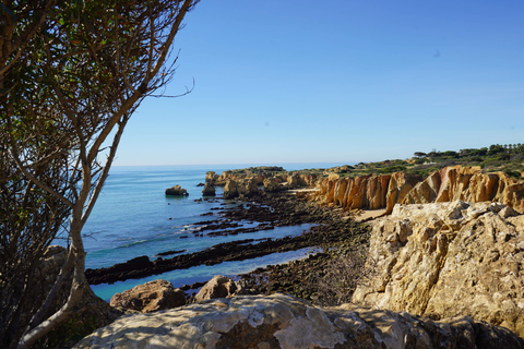 Albufeira Coastline Hiking - Small Group Albufeira Coastline Hiking Small Group