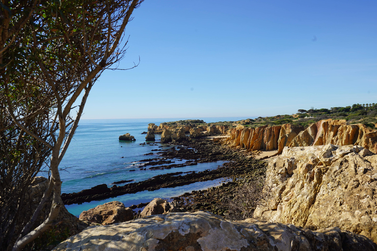 Albufeira Coastline Hiking - Small Group Albufeira Coastline Hiking Small Group