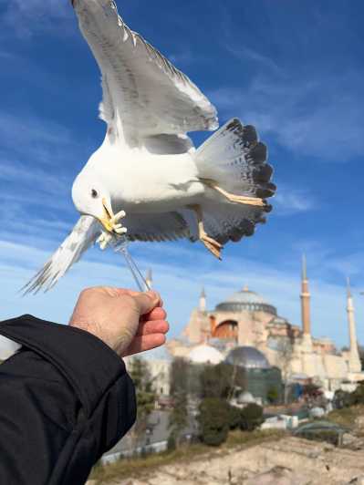 Istanbul: Best of The City Full-Day Tour with Transfers